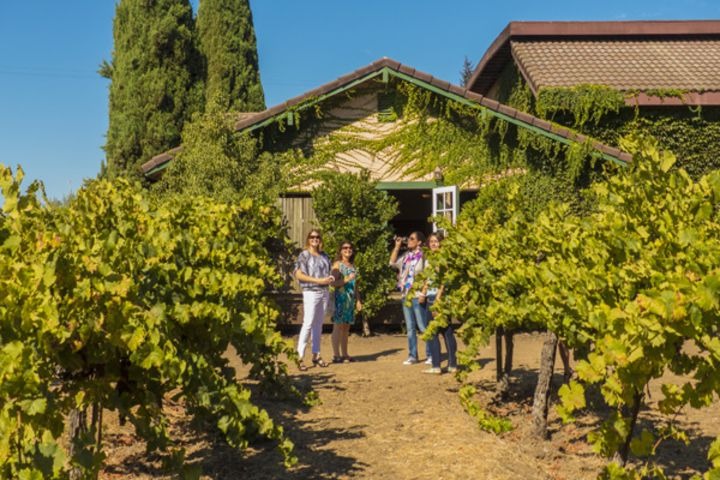 Full Day San Francisco Wine Country Tour