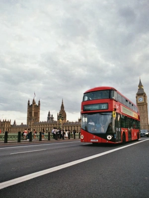 Hop-on Hop-off Bus
