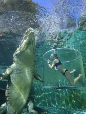 cage-of-death-at-crocosaurus-cove
