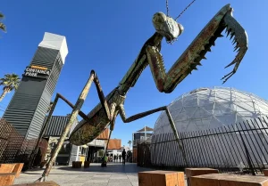 Downtown Container Park