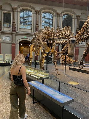 Museum Island
