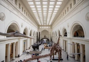 Field Museum