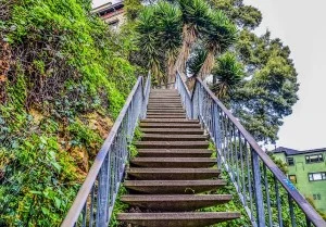 Filbert Steps