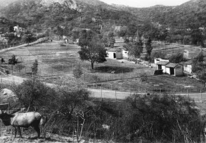 Griffith Park
