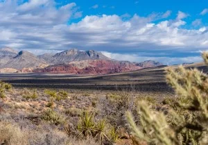 Red Rock Canyon National Conservation Area