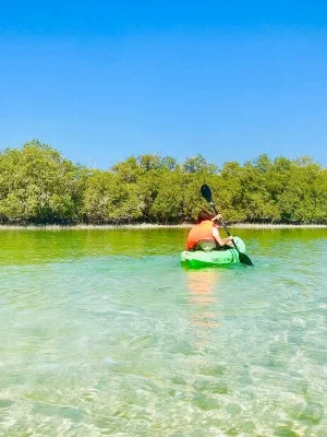 Kayak Through Abu Dhabi's Mangroves