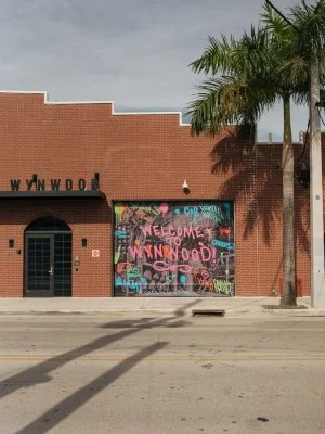 Discover Wynwood’s Street Art