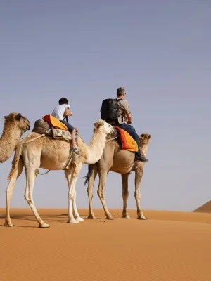 Dubai Desert Safari