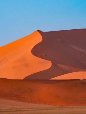 Dubai Red Dunes ATV, Camels, and Stargazing