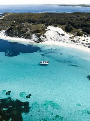 Meet Quokkas on Rottnest Island
