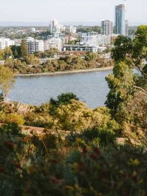 Take a Swan River Cruise
