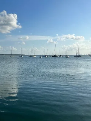 Take a Biscayne Bay Boat Tour