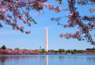 Washington Monument