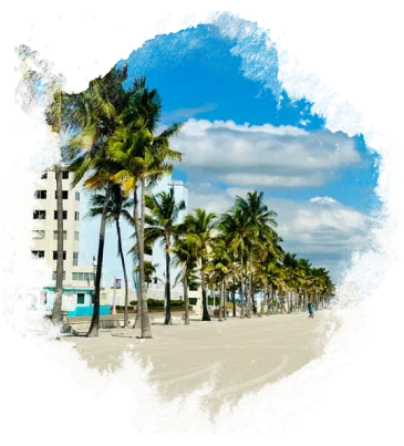 Why you must visit Miami